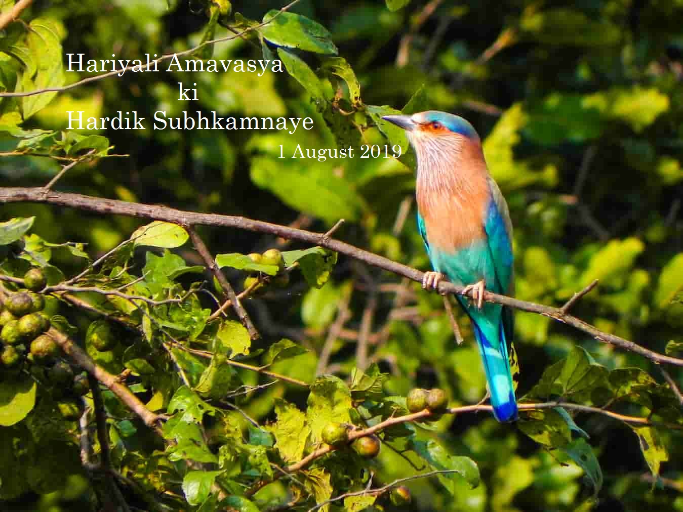 2019 Happy Hariyali Amavasya Wallpapers